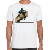 Mens Softstyle Tee Shirt Thumbnail